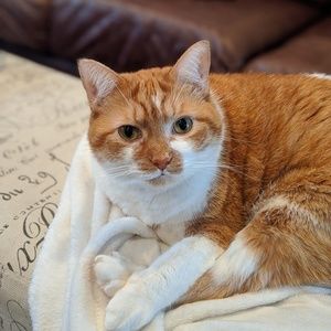 Meet your Posher, Heather